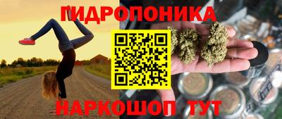 Альфа ПВП Рузаевка